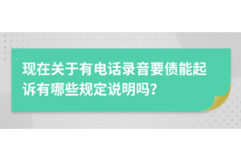 新洲专业讨债公司有哪些核心服务？